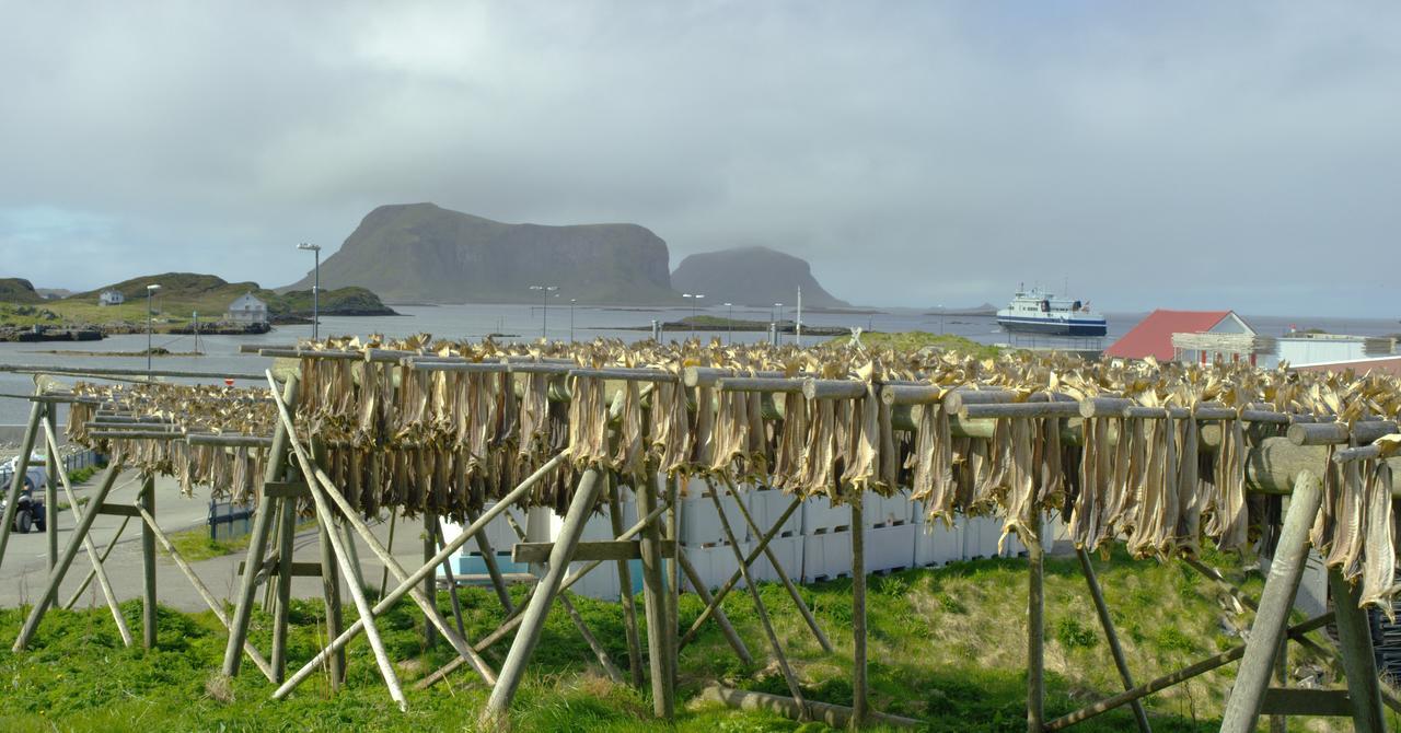 Hotel Fiskarheimen Havly, Røst Exteriér fotografie