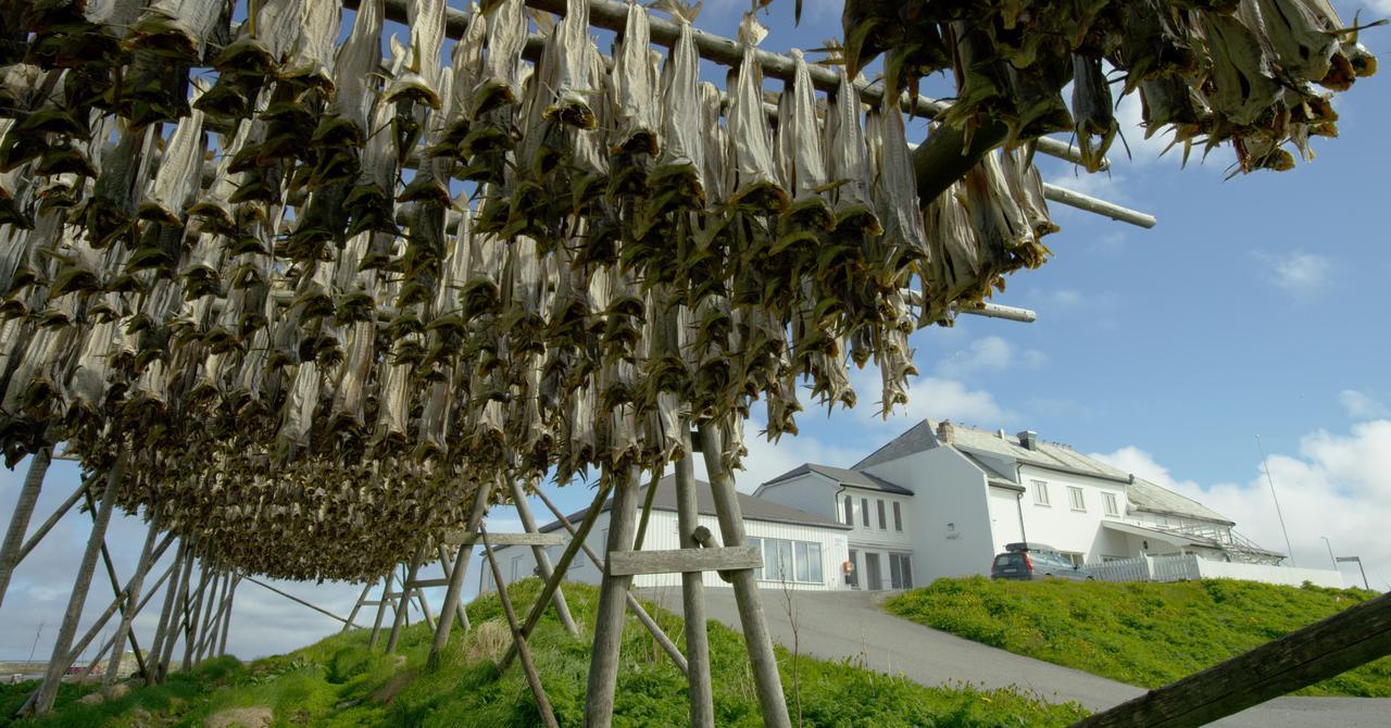 Hotel Fiskarheimen Havly, Røst Exteriér fotografie